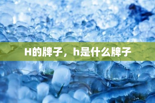 H的牌子，h是什么牌子