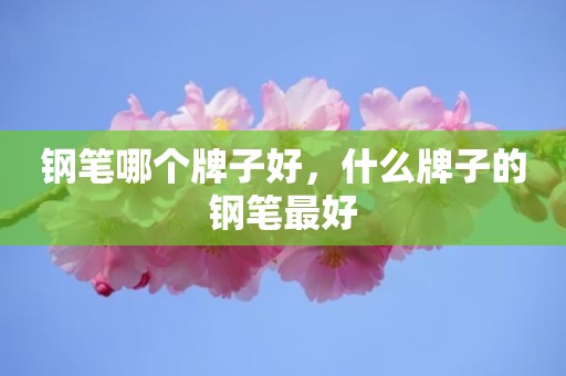 钢笔哪个牌子好，什么牌子的钢笔最好