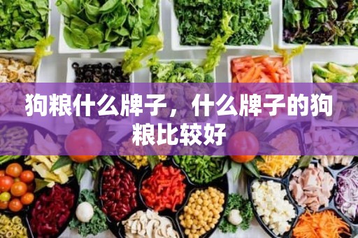 狗粮什么牌子，什么牌子的狗粮比较好