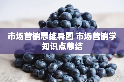 市场营销思维导图 市场营销学知识点总结