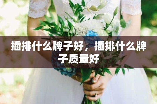 插排什么牌子好，插排什么牌子质量好