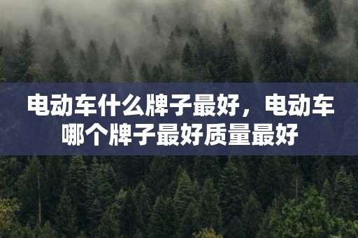 电动车什么牌子最好，电动车哪个牌子最好质量最好
