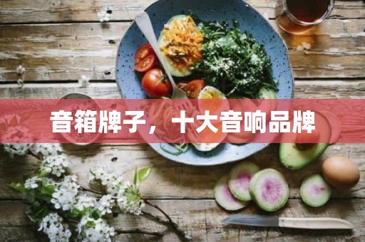 音箱牌子，十大音响品牌