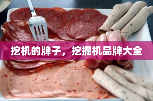 挖机的牌子，挖掘机品牌大全