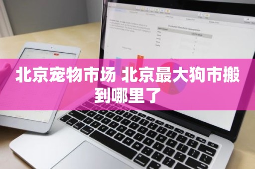 北京宠物市场 北京最大狗市搬到哪里了