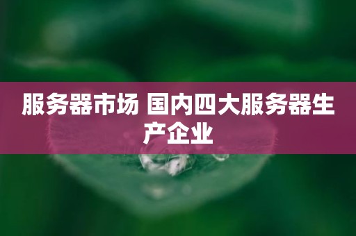 服务器市场 国内四大服务器生产企业