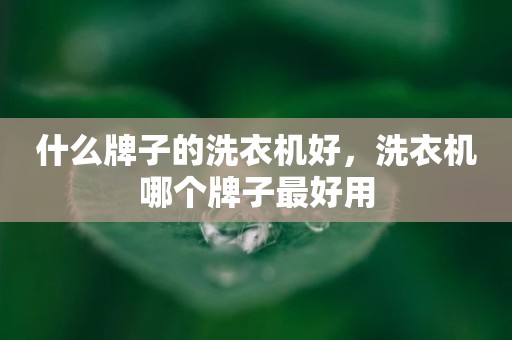什么牌子的洗衣机好，洗衣机哪个牌子最好用