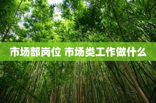 市场部岗位 市场类工作做什么