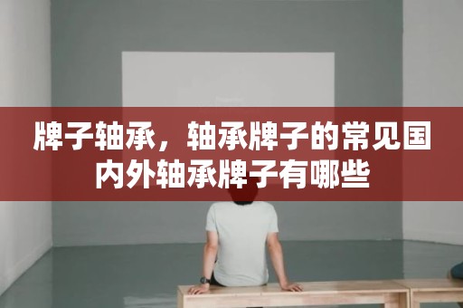 牌子轴承，轴承牌子的常见国内外轴承牌子有哪些