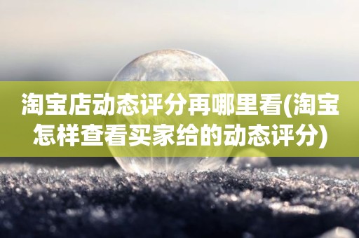 淘宝店动态评分再哪里看(淘宝怎样查看买家给的动态评分)