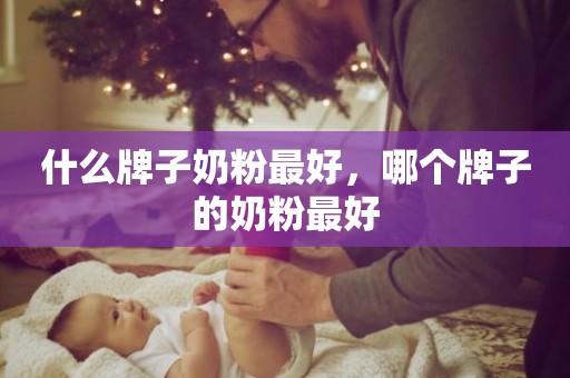 什么牌子奶粉最好，哪个牌子的奶粉最好