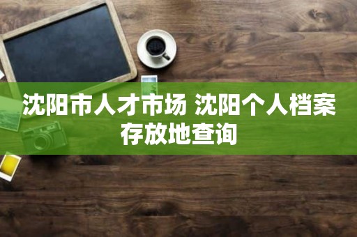 沈阳市人才市场 沈阳个人档案存放地查询