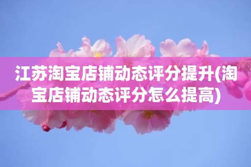 江苏淘宝店铺动态评分提升(淘宝店铺动态评分怎么提高)