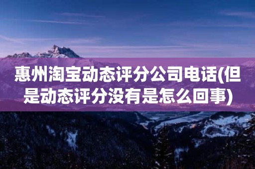 惠州淘宝动态评分公司电话(但是动态评分没有是怎么回事)